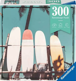 Surfing 133113